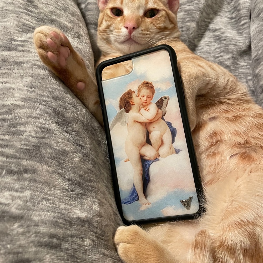 angels wildflower case